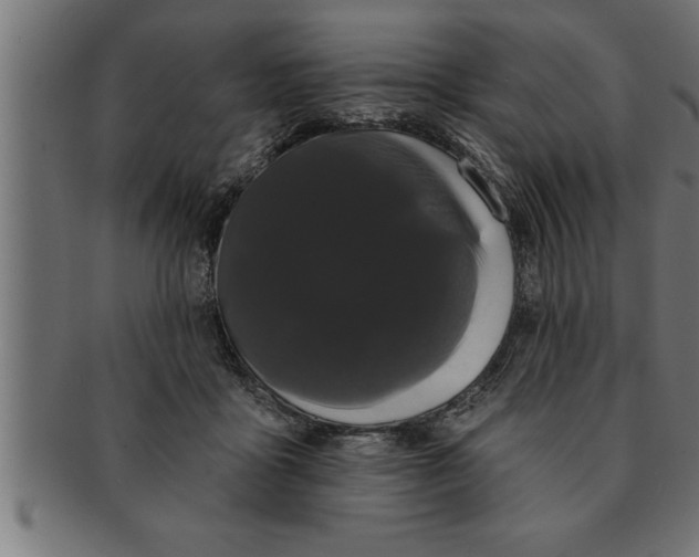 X0000091670411200709201223