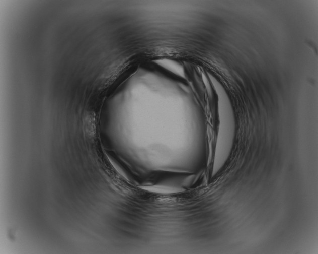 X0000091670413200709201223