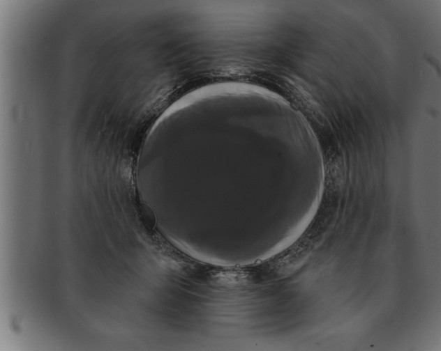 X0000091670415200709201223