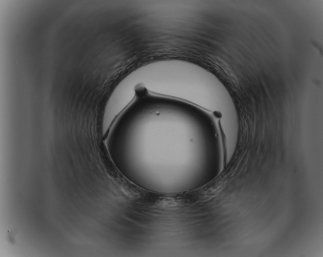 X0000091670416200709201223