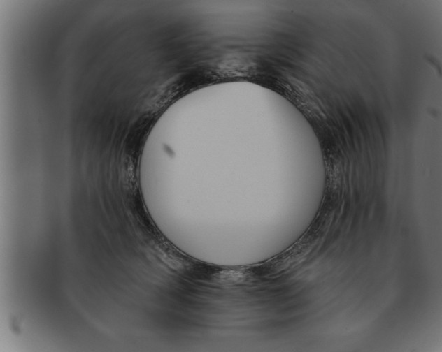 X0000091670418200709201223