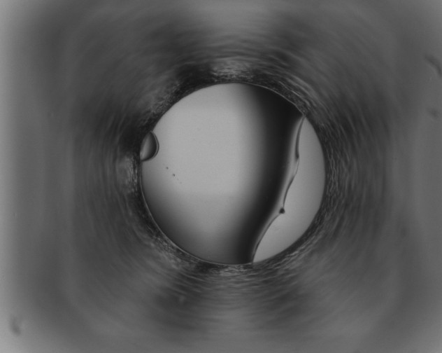 X0000091670420200709201223