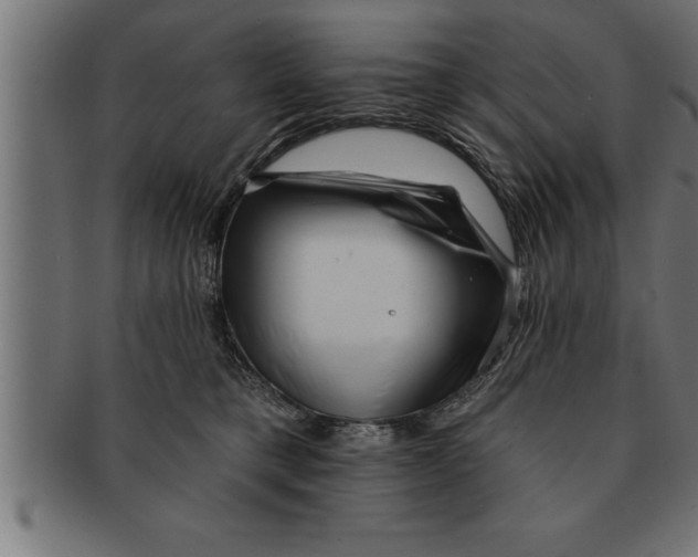 X0000091670421200709201223