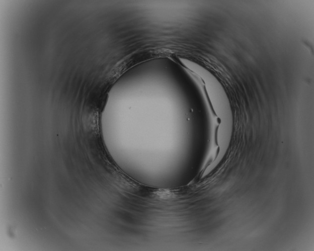 X0000091670425200709201223