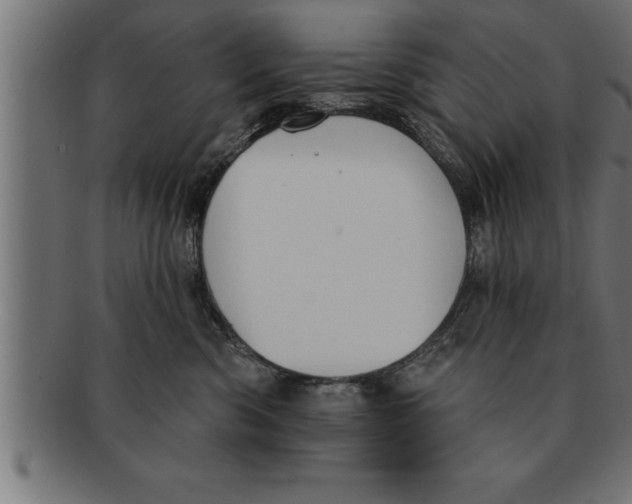 X0000091670426200709201223