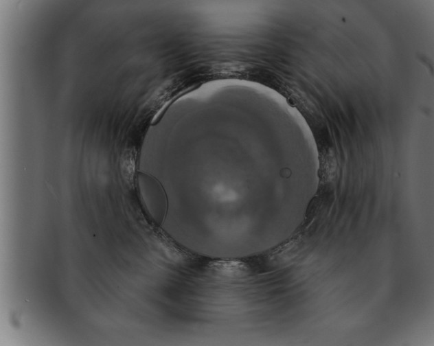 X0000091670427200709201223