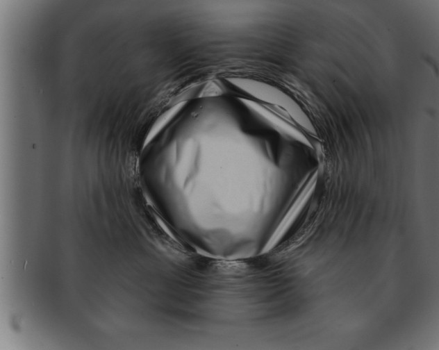 X0000091670429200709201223