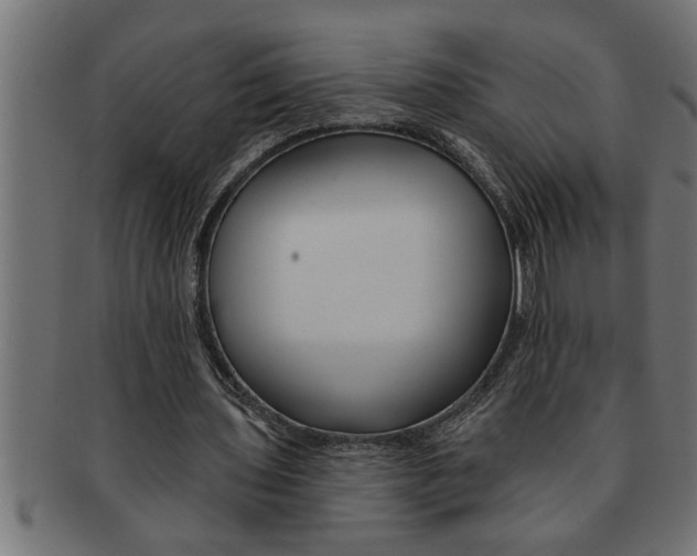 X0000091670435200709201222