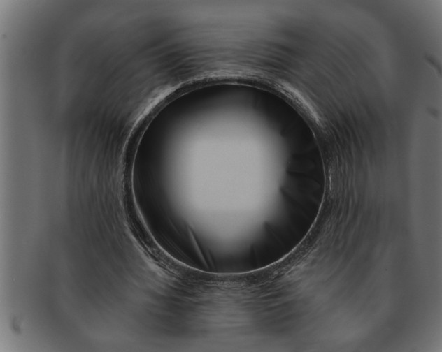 X0000091670436200709201223