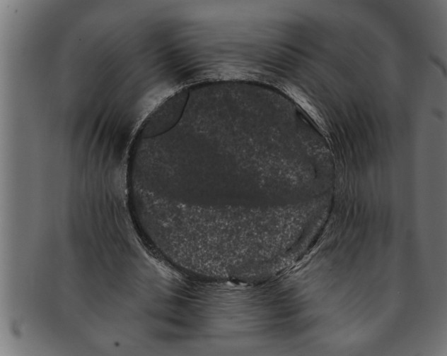 X0000091670438200709201223