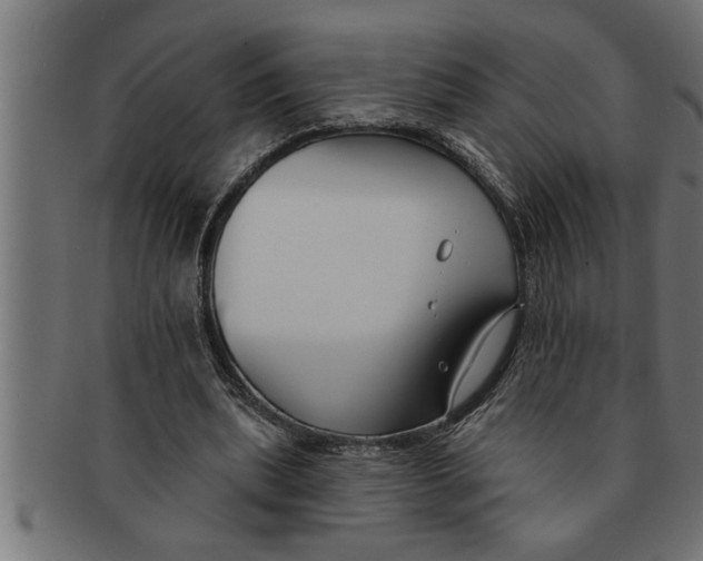 X0000091670439200709201223