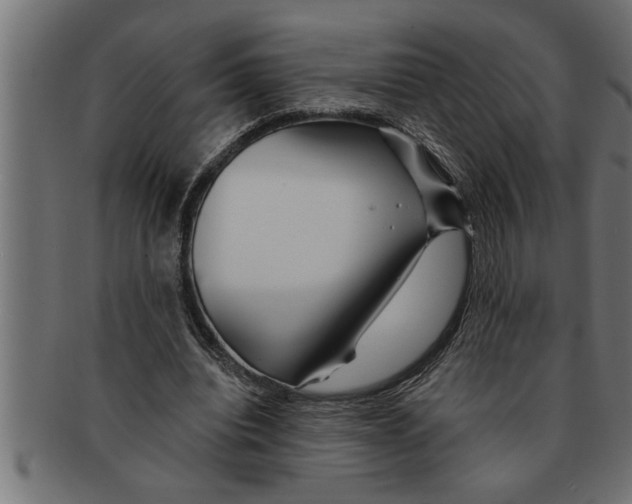 X0000091670440200709201223