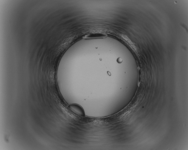 X0000091670441200709201223