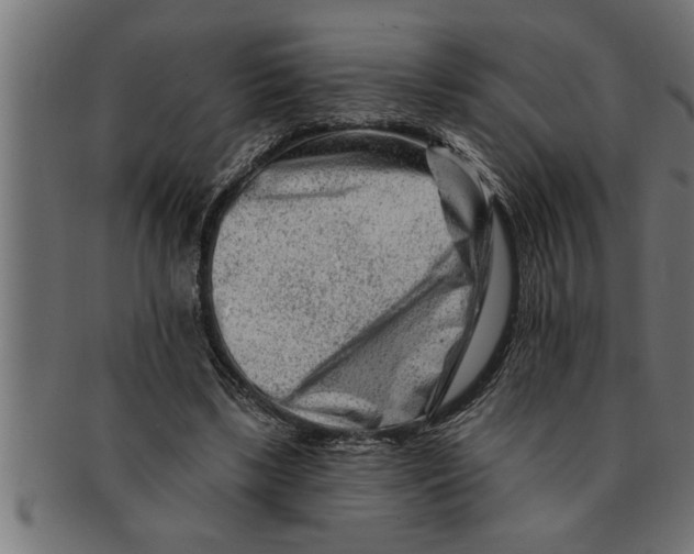 X0000091670443200709201223