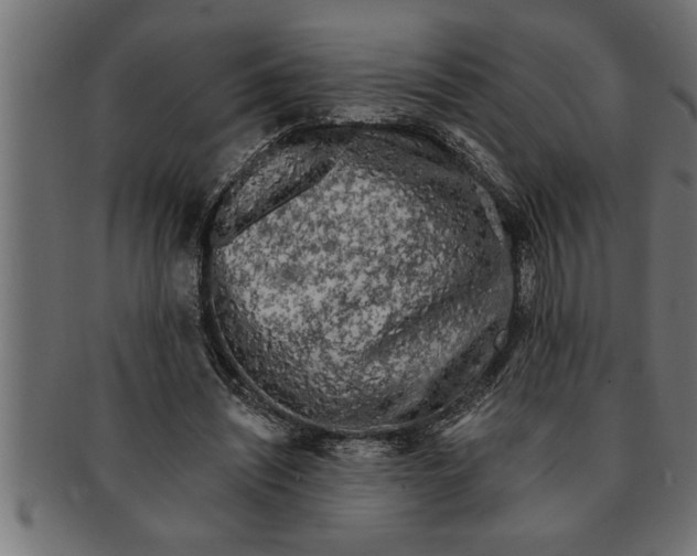 X0000091670444200709201223