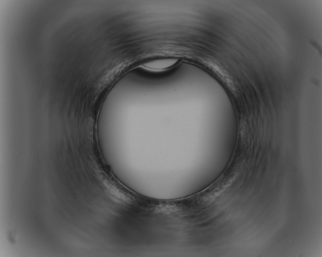 X0000091670445200709201223