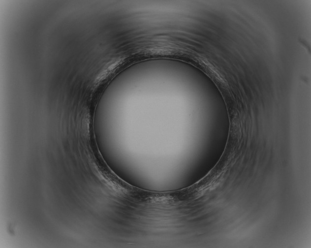 X0000091670446200709201223