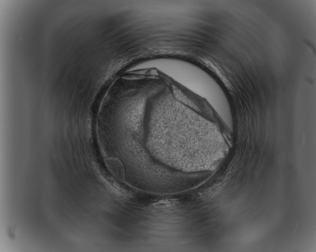 X0000091670447200709201223