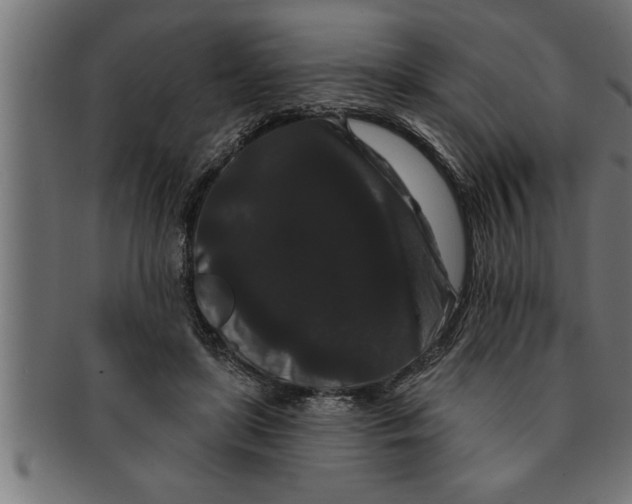 X0000091670451200709201223