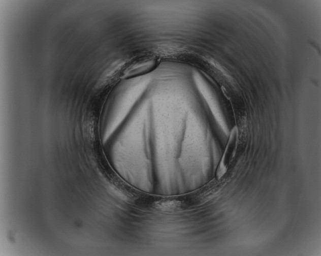 X0000091670452200709201223