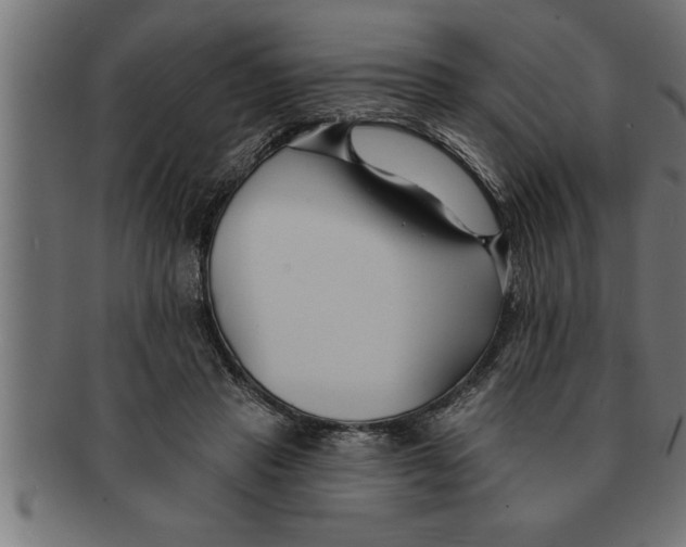 X0000091670453200709201223