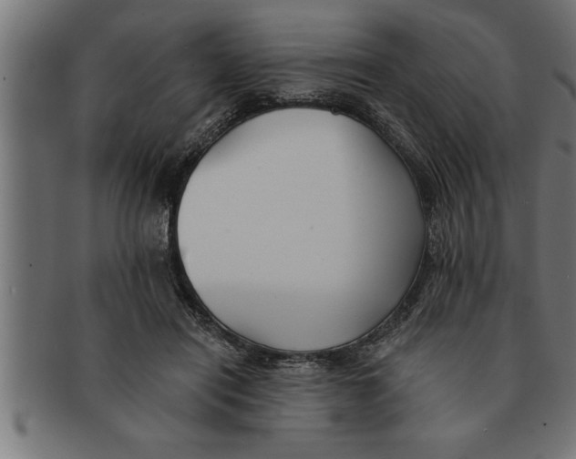 X0000091670454200709201223