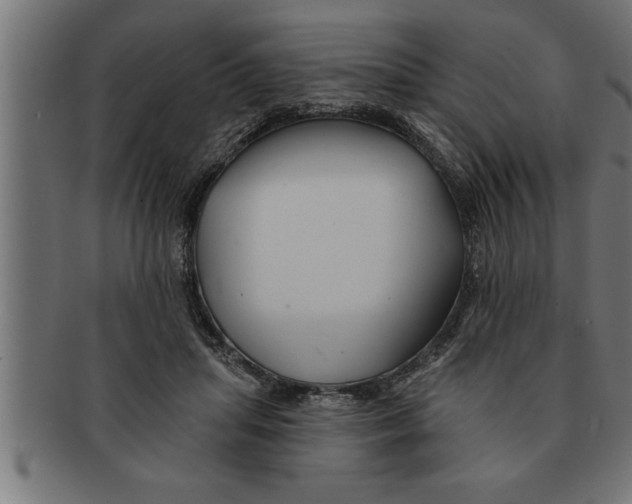 X0000091670455200709201223