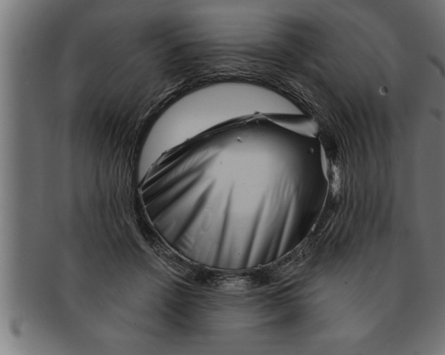 X0000091670456200709201223