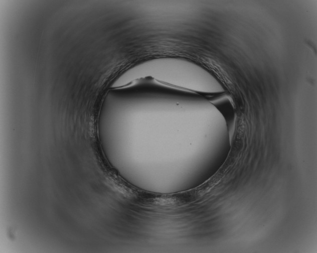 X0000091670457200709201223