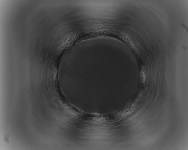 X0000091670458200709201223