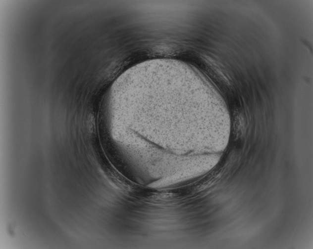 X0000091670459200709201223