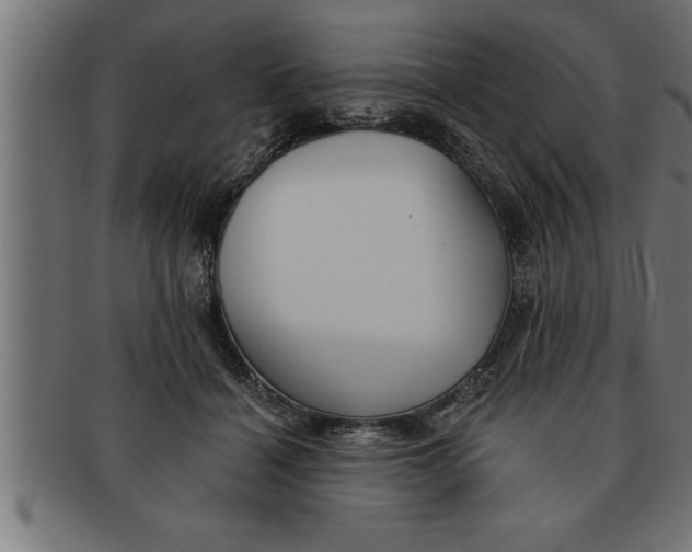 X0000091670460200709201223