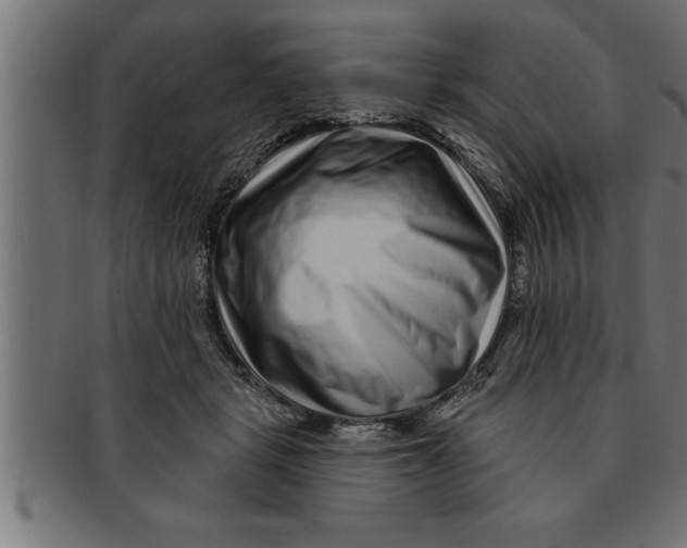 X0000091670461200709201223