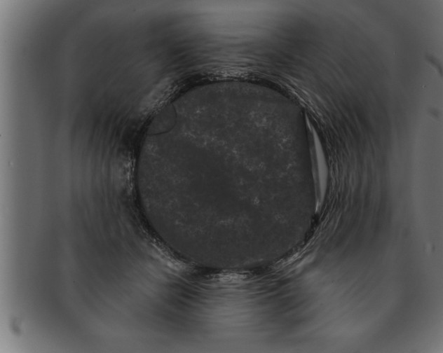 X0000091670462200709201223