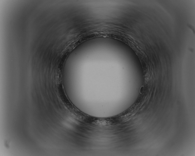 X0000091670464200709201223