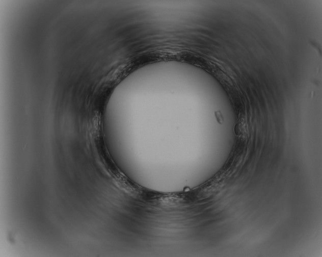 X0000091670468200709201223