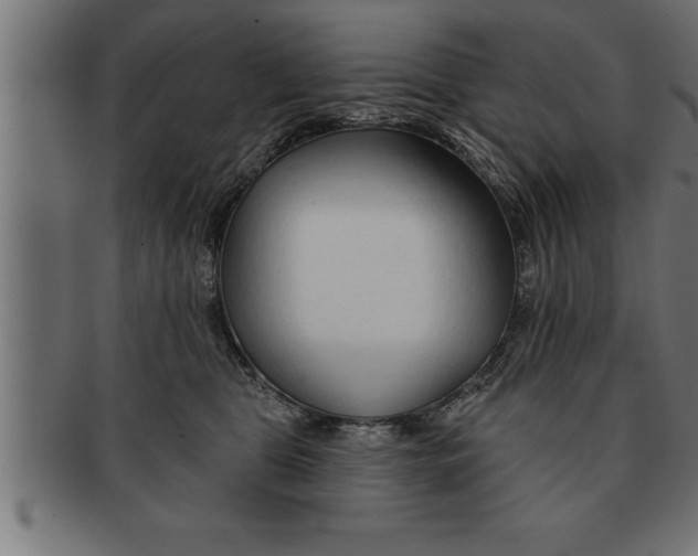 X0000091670469200709201223