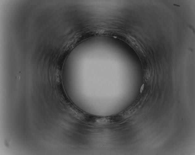 X0000091670470200709201223