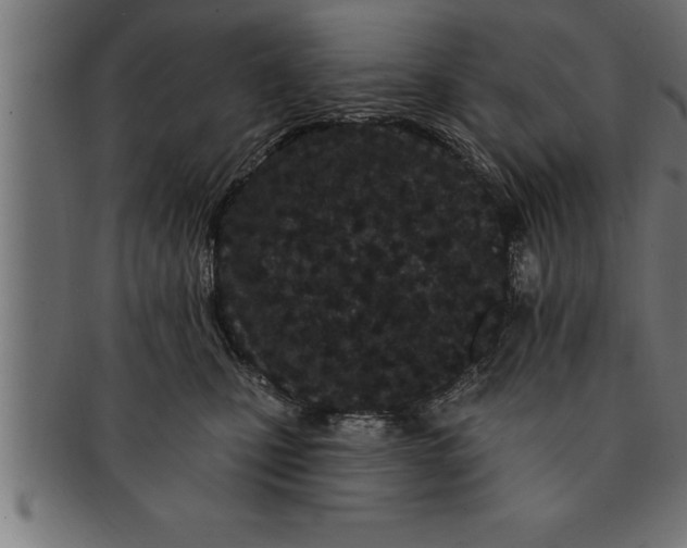 X0000091670471200709201223