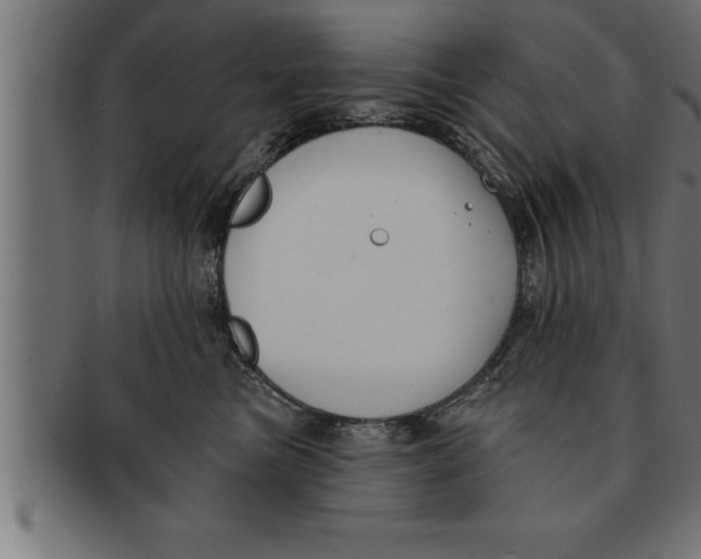 X0000091670473200709201223