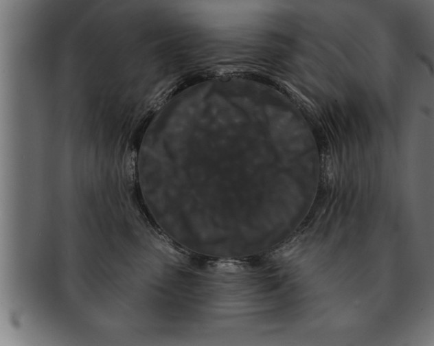 X0000091670475200709201223