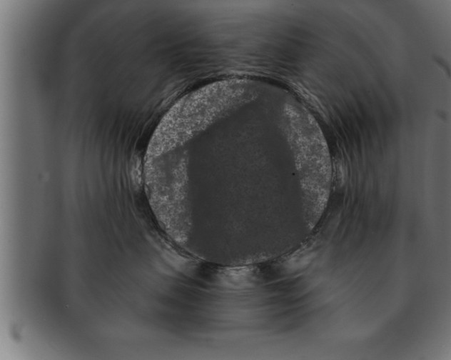 X0000091670479200709201223