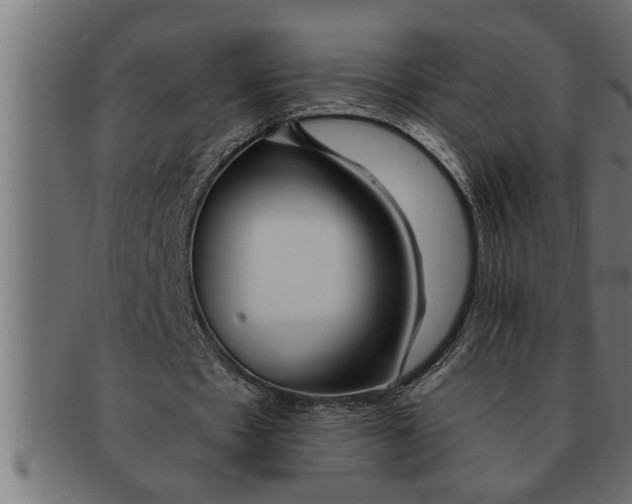 X0000091670481200709201222