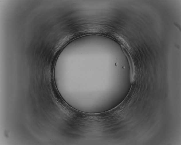 X0000091670482200709201222