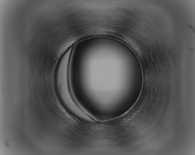 X0000091670485200709201222