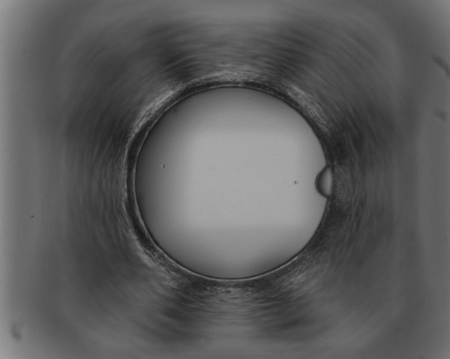 X0000091670486200709201222