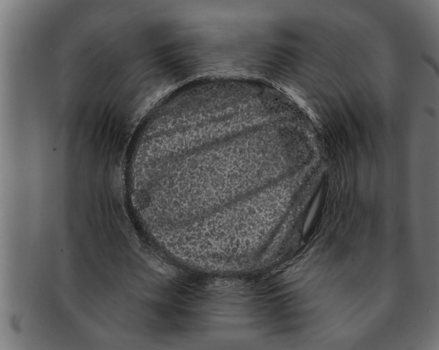 X0000091670487200709201222