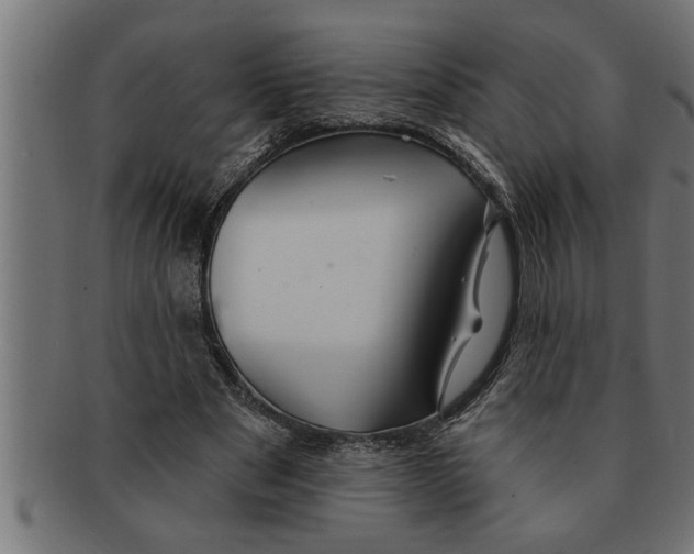 X0000091670489200709201222