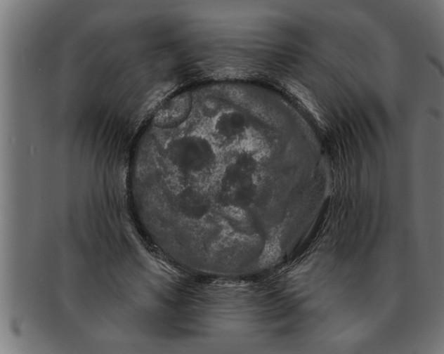 X0000091670491200709201222