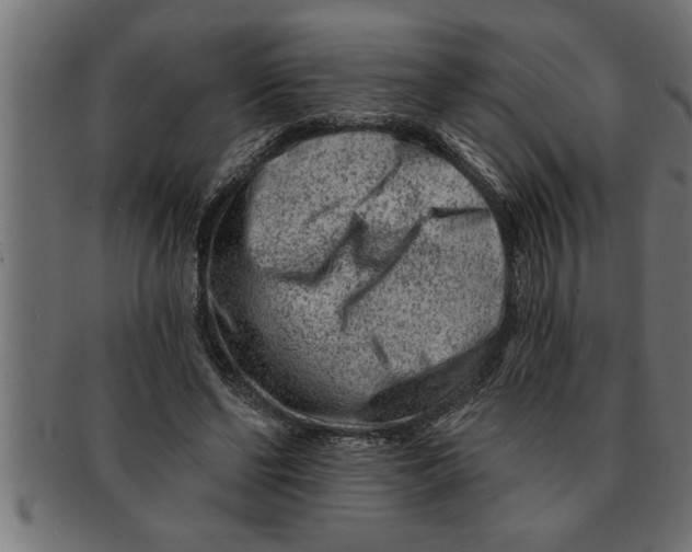 X0000091670494200709201222